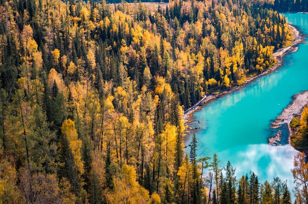 新疆喀纳斯河月亮湾秋天风景