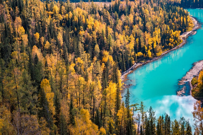 新疆喀纳斯河月亮湾秋天风景