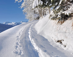 雪山之路