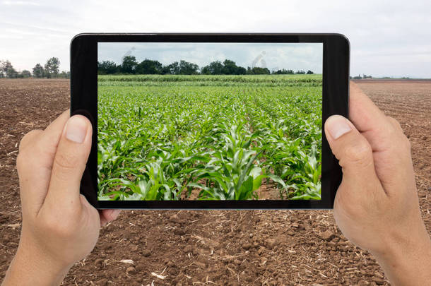 智能农业与增强现实技术未来的 c