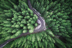 森林里无人驾驶的空旷道路