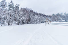 冬季公园白雪覆盖树木的美丽风景
