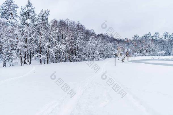 冬季公园白雪覆盖树木的美丽风景