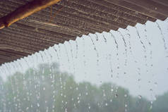 热带雨从屋顶上抛锚.