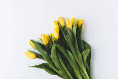 美丽绽放的黄色郁金香在灰色被隔绝