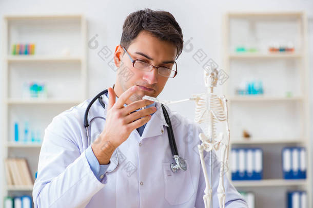 研究骨骼骨骼的博士生