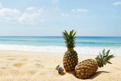 沙滩上的菠萝和太阳镜, 特写