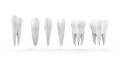 牙齿孤立的图标集。健康的牙齿 3d 插图与白色搪瓷和根。牙科，牙科保健服务，牙医办公室，口腔卫生主题设计