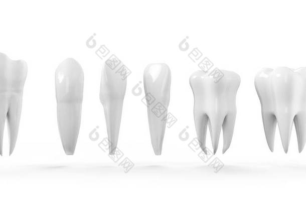 牙齿孤立的图标集。健康的牙齿 3d 插图与白色搪瓷和根。牙科，牙科保健服务，牙医办公室，口腔卫生主题设计