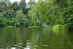 河岸上绿树成荫的风景景观
