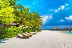 马尔代夫-2018年6月24日: 夏季日在马尔代夫热带海滩上的木制日光浴