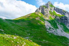 在黑山的杜尔米托尔地块上, 成群的绵羊在山谷中放牧, 背景岩石山脉