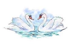 蓝湖水水彩画天鹅
