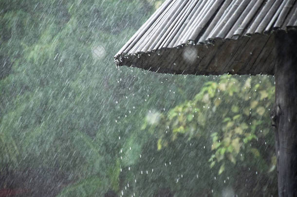 热带的<strong>雨季</strong>里有雨滴。雨从竹子的屋顶落下