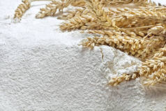 小麦的耳朵在面粉堆