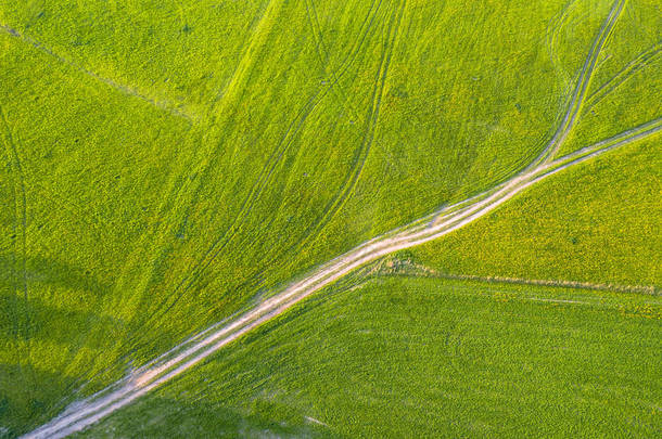 无人机照片的道路之间的田野在五颜六色的早春在乡村村-周围的蒲公英。自上而下视图