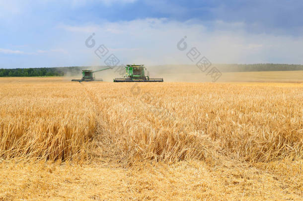 小麦田的联合收割机，农村的联合收割机