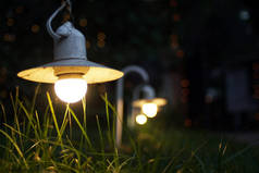 小花园灯, 草床上的灯笼。园林设计。灯光和圣诞灯饰在晚上装饰着一个花园。婚礼上的灯光和灯笼。博凯.