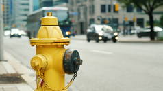 多伦多一条繁忙街道背景下的黄色消防栓