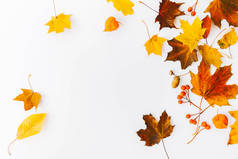 秋天背景的顶视图, 平躺与秋天的叶子和分支查出在白色