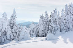 喀尔巴阡山脉冬季真正的雪屋