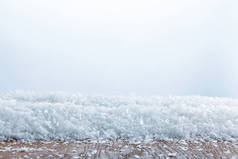 关闭条纹木板覆盖在白色的雪