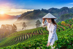 日出日落时穿着传统草莓园越南文化的亚洲女人.