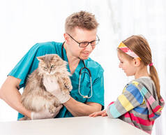 兽医检查猫的疾病