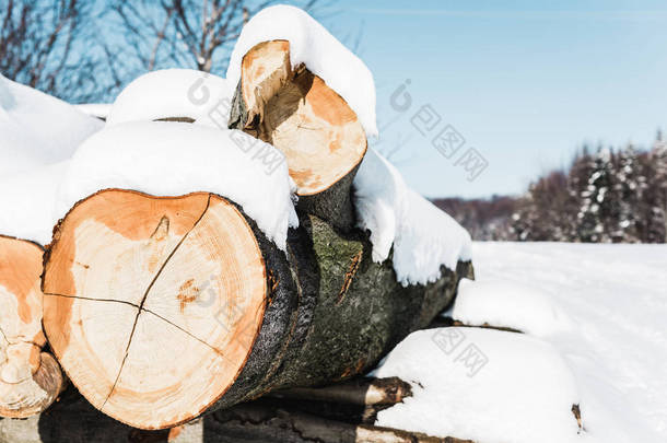 被雪覆盖的切割纹理原木的<strong>选择性</strong>焦点