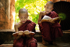 缅甸读本书修道院外的小和尚