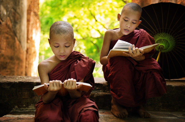 缅甸读本书修道院外的<strong>小和尚</strong>