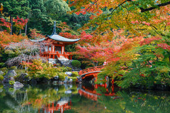 初秋在京都醐寺