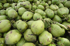 堆新鲜绿色巴西椰子