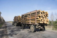 在春天的路上, 汽车拖车搭载了两根原木.
