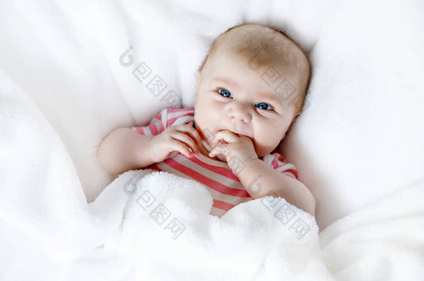 可爱可爱两个月婴儿吸吮的拳头.