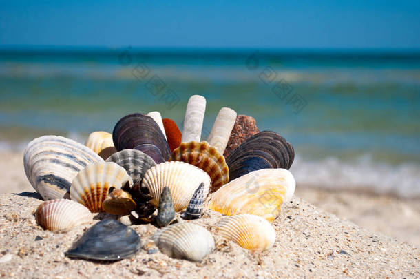 一组不同的海贝壳和石头坐落在一个黄色的沙子上的蓝色海的背景和一个白色的波浪蓝天夏季假期暑假夏天的炎热海滩