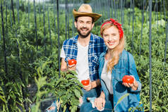 幸福夫妇的农民举行成熟的西红柿在田间农场和看相机