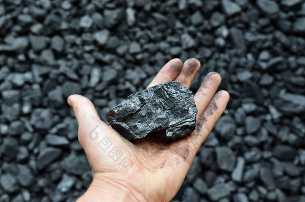 矿工的手显示我的煤。图片可用于煤炭开采、能源或环境保护的理念.