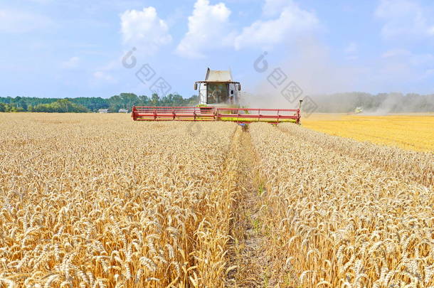 在小麦地里干活的<strong>联合收割机</strong>，在农村收割的<strong>联合收割机</strong>