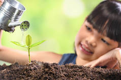 一个女孩在土壤上种植幼苗, 希望有良好的环境