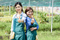 两名身穿围裙的亚洲农民站在一起, 在农场工作时竖起大拇指的肖像