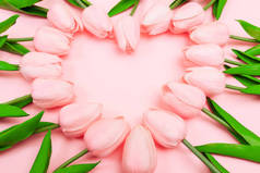 春天粉红色的郁金香以心脏的形状在粉红色的背景上布置。妇女日