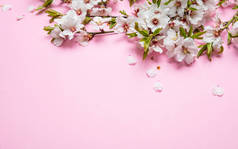 杏仁花花束粉红色的背景, 复制空间