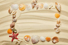 在沙滩上看到海贝海星和珊瑚的框架的顶部视图