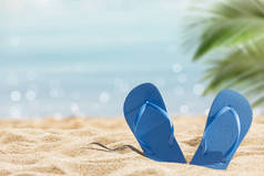 在阳光明媚的热带海滩上用棕榈树拖鞋