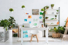 宽敞的房间，有书桌、椅子、架子、绿色盆栽植物和白色墙壁上的绘画