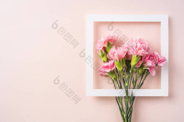 Floral composition of carnations with white square frame on pink background