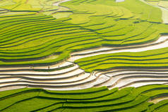 木仓柴梯田的美丽景观,越南水稻种植季节.