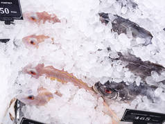 Fresh Fish on ice background Fresh market seafood Supermarket