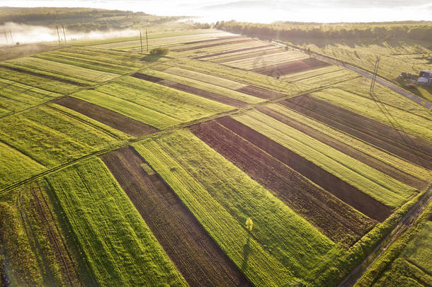 阳光明媚的<strong>春晓</strong>从空中飞来农业景观。绿色和